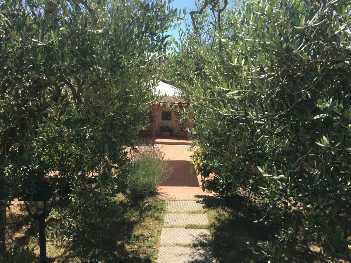 Casa Del Sole Villa Montespertoli Dış mekan fotoğraf